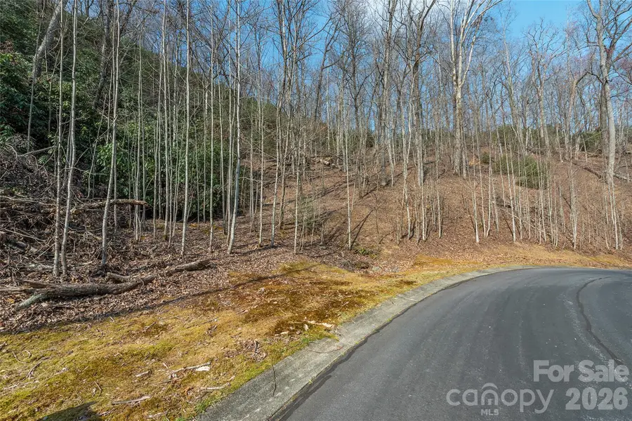 Lot 12 Shining Rock Path, Horse Shoe, NC 28742 - #2