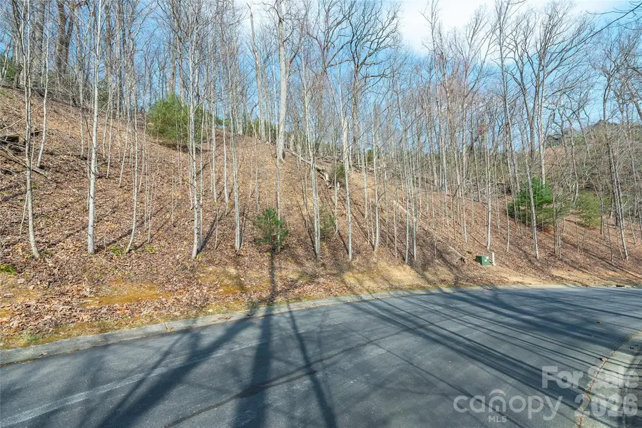 Lot 12 Shining Rock Path, Horse Shoe, NC 28742 - #3