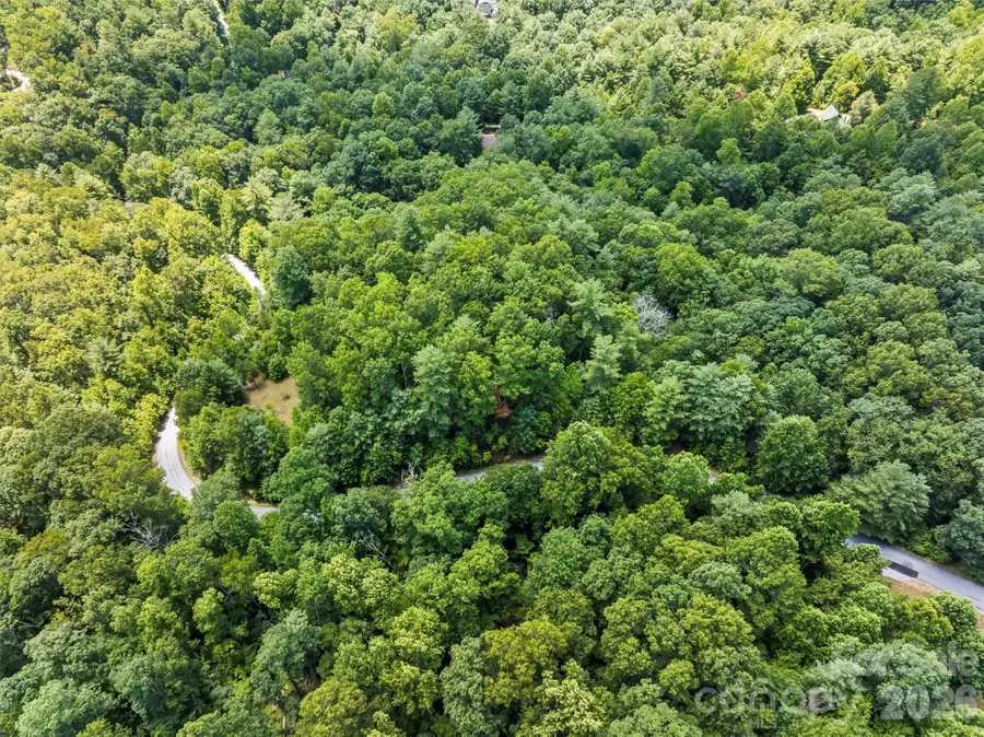 Lot 21 Big Raven Lane, Saluda, NC 28773 - #2