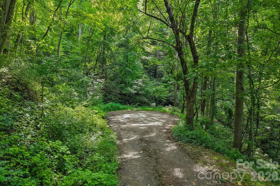 TBD Indian Falls Road, Asheville, NC 28803 - #3