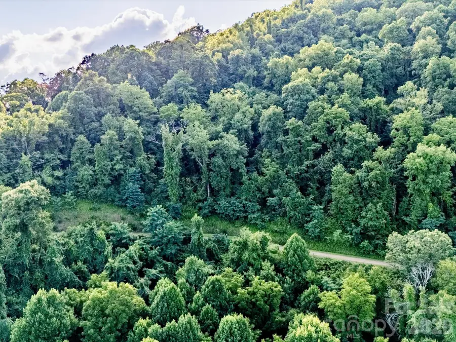 42 High Rock View Drive, Canton, NC 28716 - #3