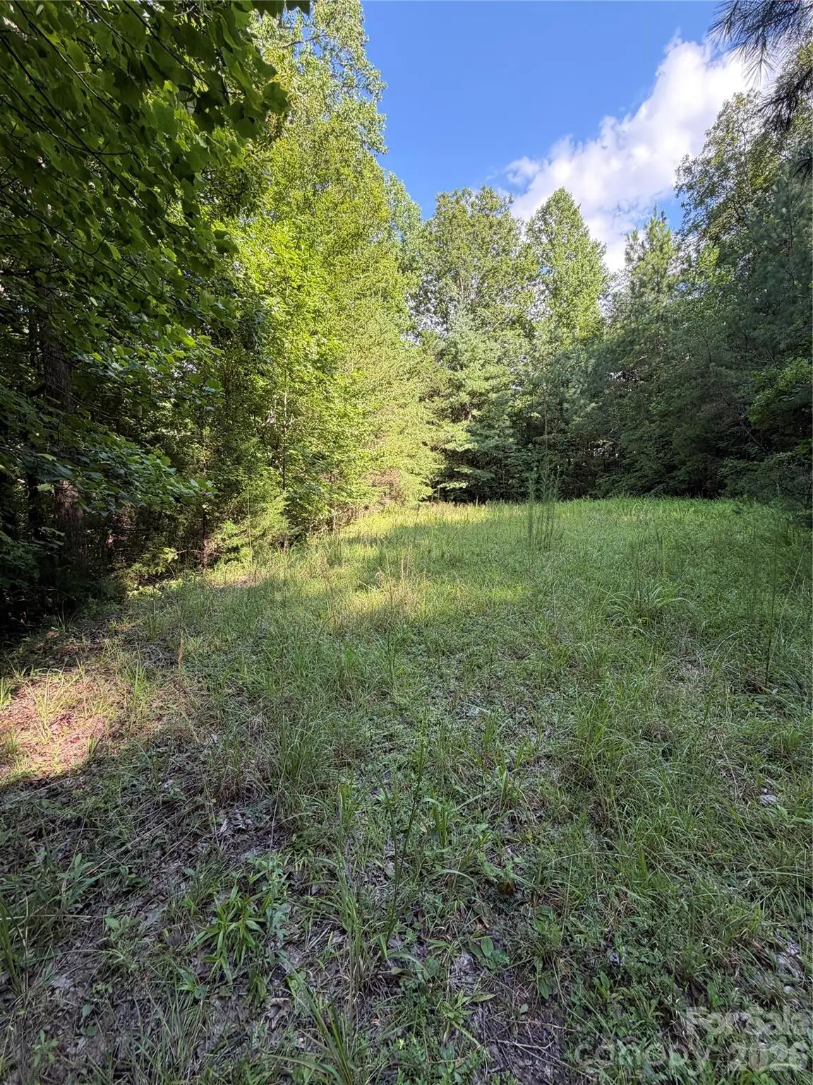 0 Greenhill Farms Drive #15, Rutherfordton, NC 28139 - #1