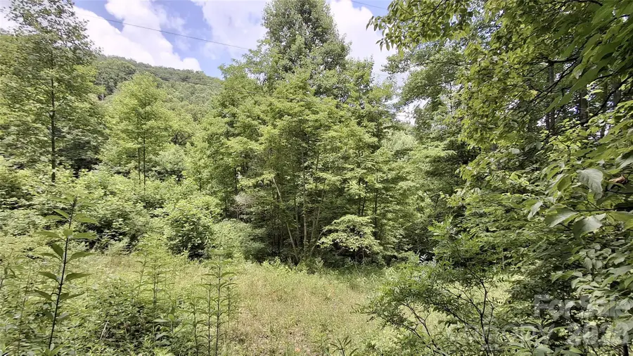 0 Dry Creek Road, Robbinsville, NC 28771 - #2