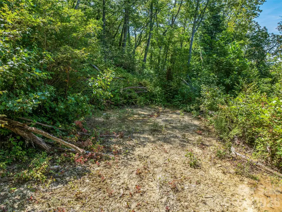 632 Justus Case Mountain Place, Hendersonville, NC 28792 - #3
