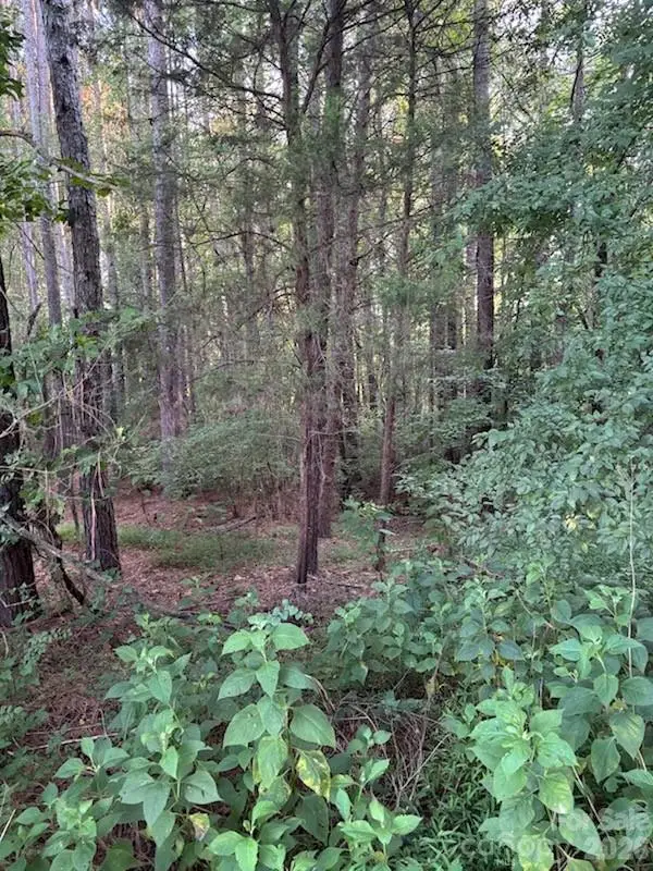 Lot 1 Mathis Church Road, Catawba, NC 28609 - #2
