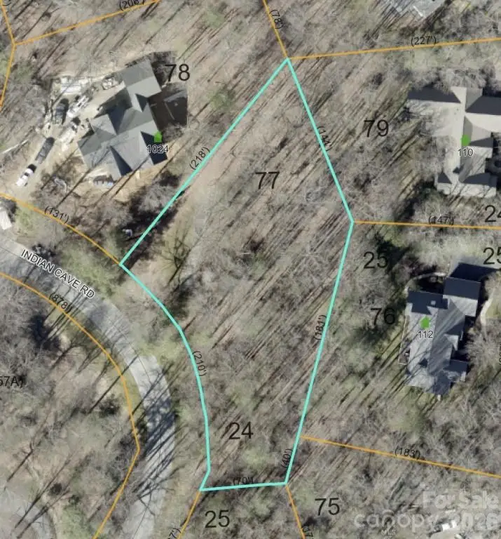 1008 Indian Cave Road, Hendersonville, NC 28739 - #1