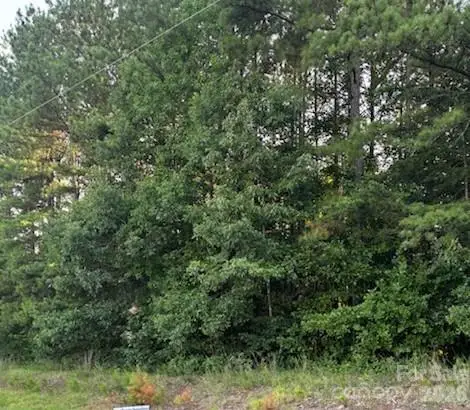Lot 2 Mathis Church Road, Catawba, NC 28609