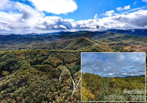 99999 Caddis Lane #91, Horse Shoe, NC 28742