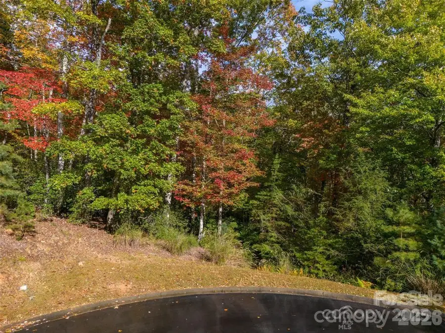 99999 Caddis Lane #91, Horse Shoe, NC 28742 - #2