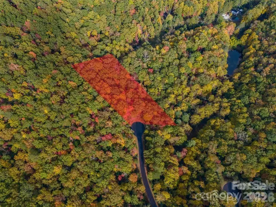99999 Caddis Lane #91, Horse Shoe, NC 28742 - #3