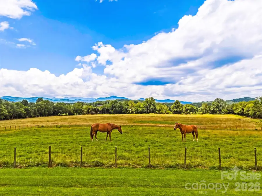 280 Walnut Hollow Road, Brevard, NC 28712 - #3