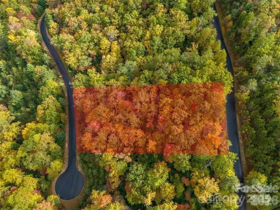 99999 Mills River Way #Lot 107, Horse Shoe, NC 28742 - #2