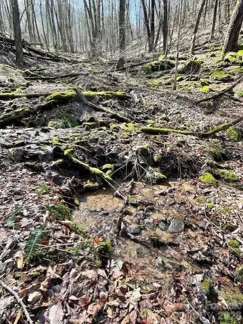 106 Avalon Gap Trail, Waynesville, NC 28785