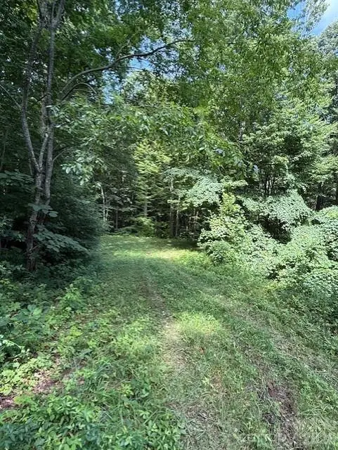 106 Avalon Gap Trail, Waynesville, NC 28785 - #2