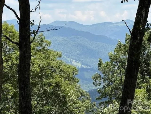 110 Cabin Ridge #110, Waynesville, NC 28785 - #1