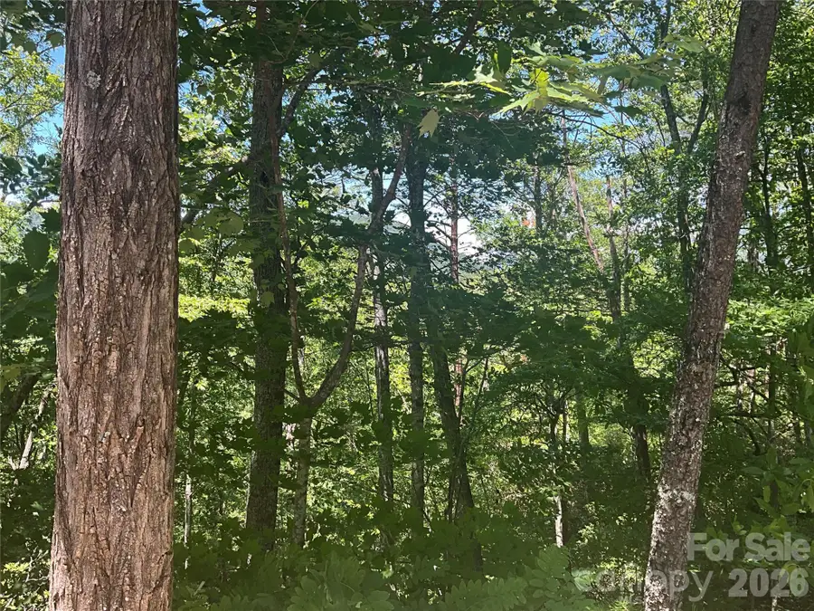 Lot 67 Treetops Lane, Lake Lure, NC 28746 - #3