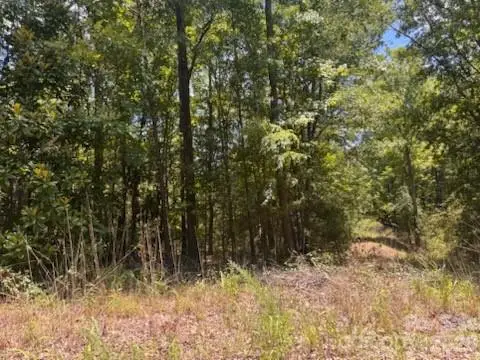 00 Nope Lane, Lancaster, SC 29720 - #3