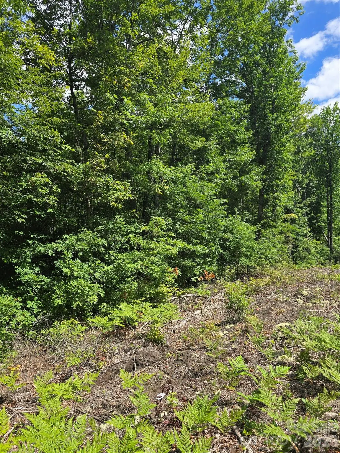 0000 Nancy Mountain Road, Rosman, NC 28772 - #1
