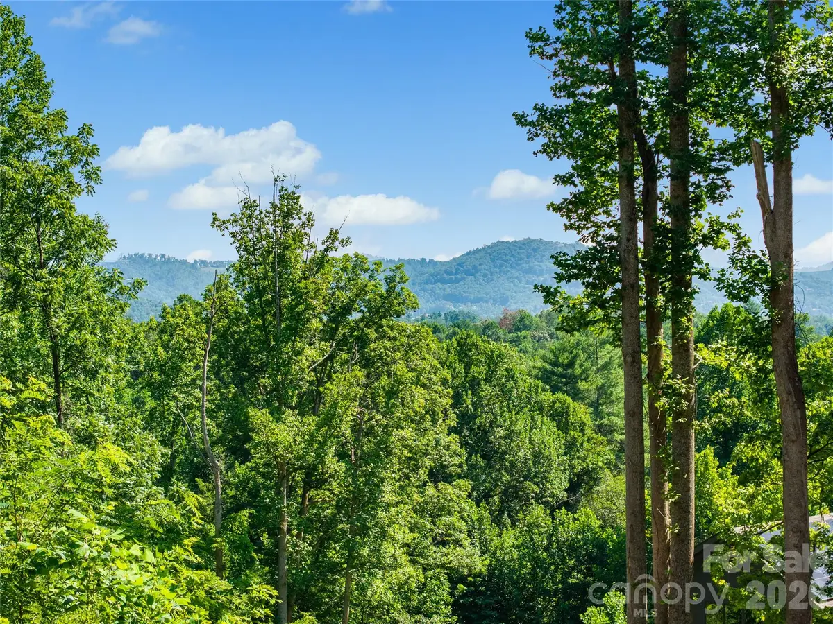 51 Wind Stone Drive, Asheville, NC 28804 - #1