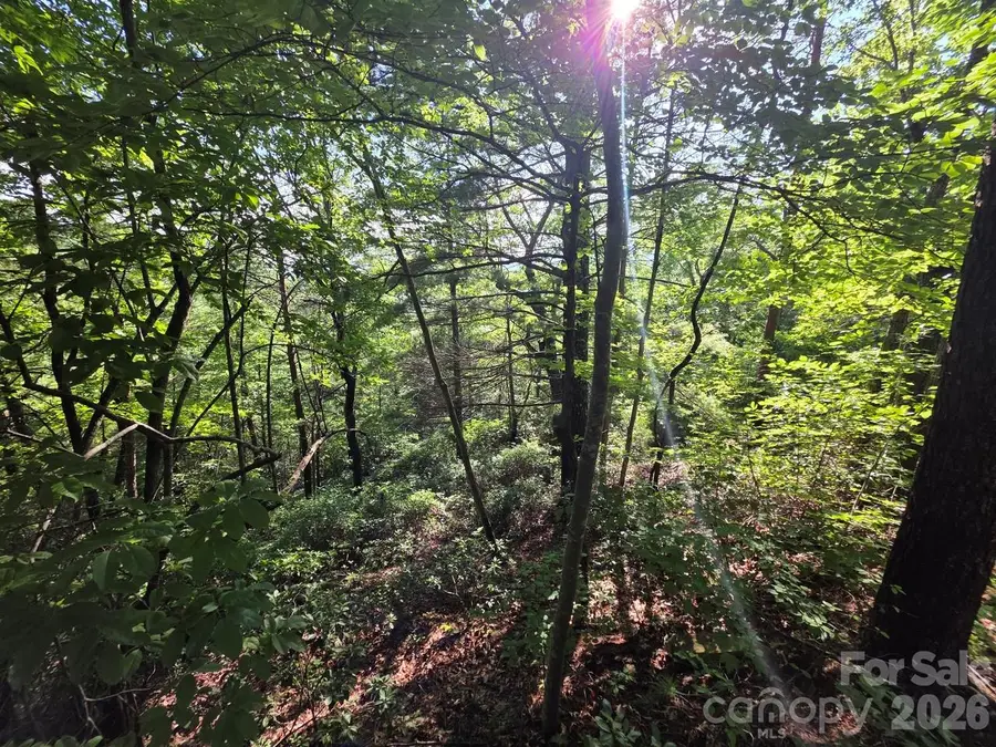 Lot 73 Fawn Lane, Marion, NC 28752 - #2