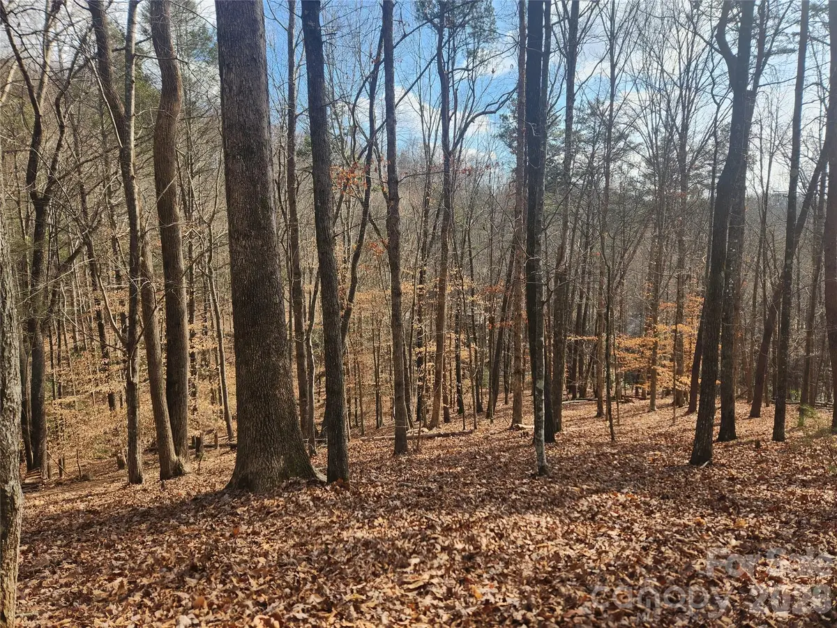 Lot 83 Walnut Lane, Lake Lure, NC 28746 - #1