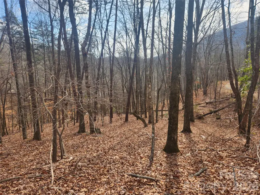 Lot 83 Walnut Lane, Lake Lure, NC 28746 - #3