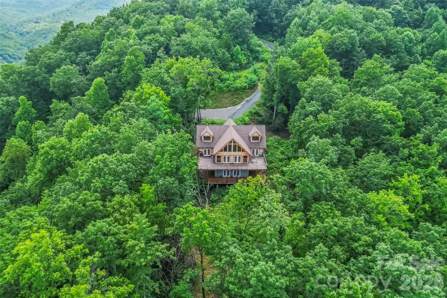 266 Potomac Falls Drive, Black Mountain, NC 28711 - #3