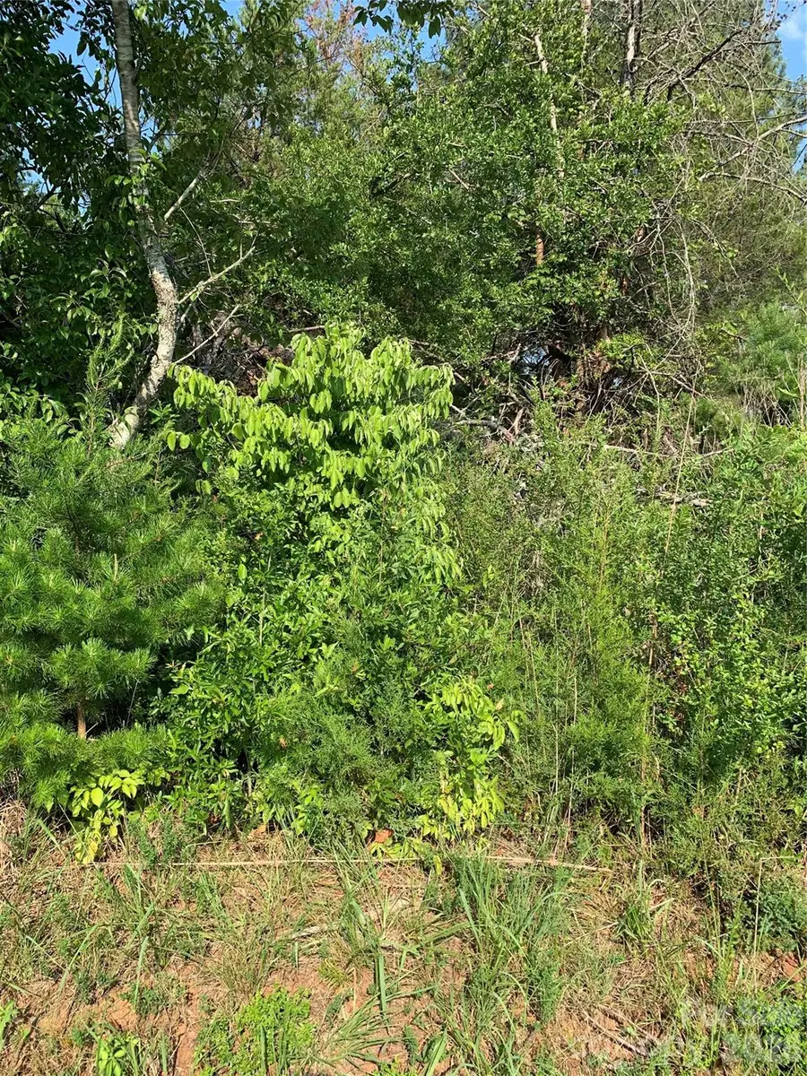 0 Rock House Road, Blacksburg, SC 29702 - #3