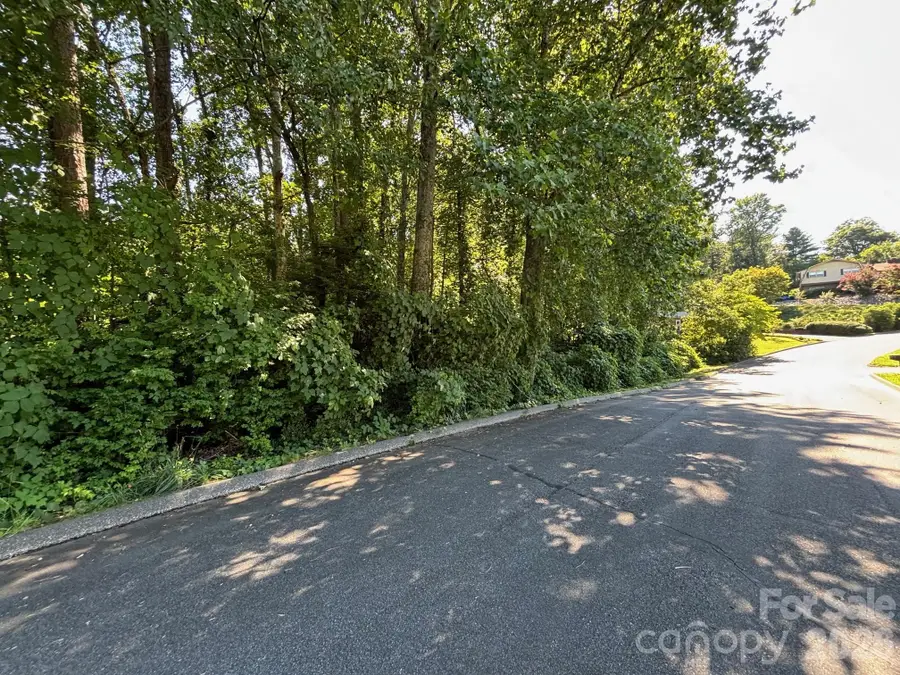 V/L Woodland Drive #11, Marion, NC 28752 - #3