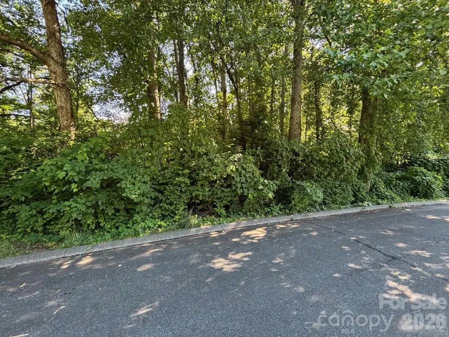 V/L Woodland Drive #10, Marion, NC 28752 - #3