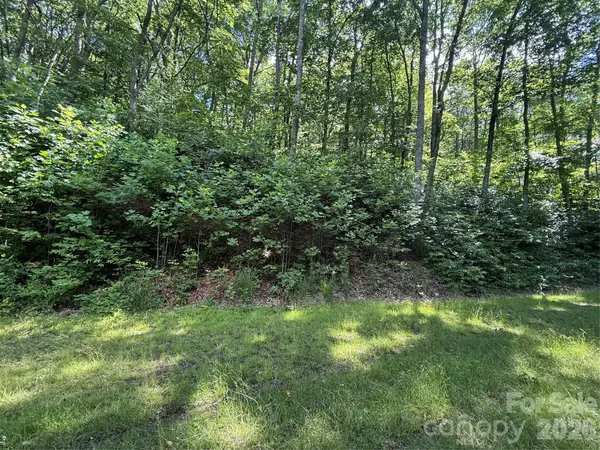 999 Hawks Nest Drive #86, Burnsville, NC 28714