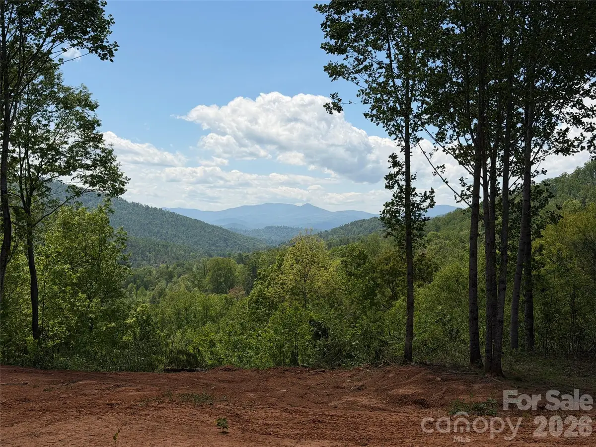 99999 Tipton Lane, Bakersville, NC 28705 - #1