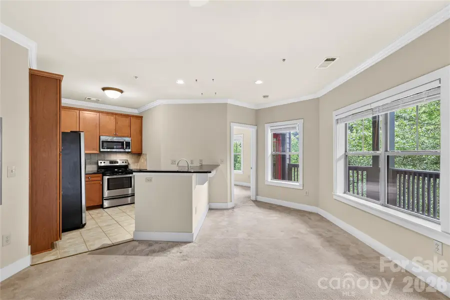 9 Kenilworth Knolls #303, Asheville, NC 28805 - #3