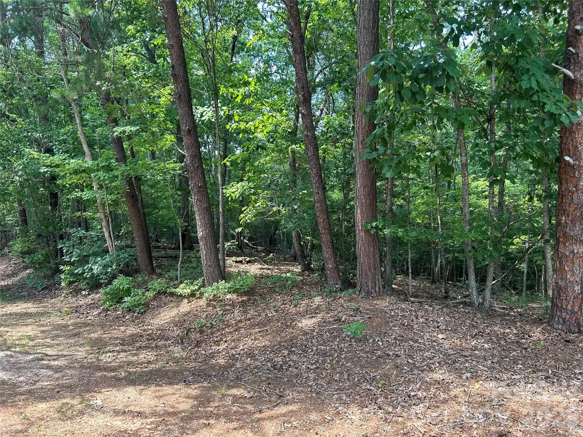 111 Peach Drive #333, Troy, NC 27371 - #1