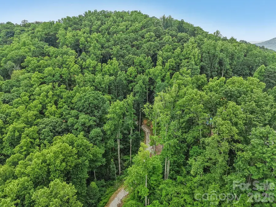 TBD Fiver Lane, Hendersonville, NC 28792 - #3