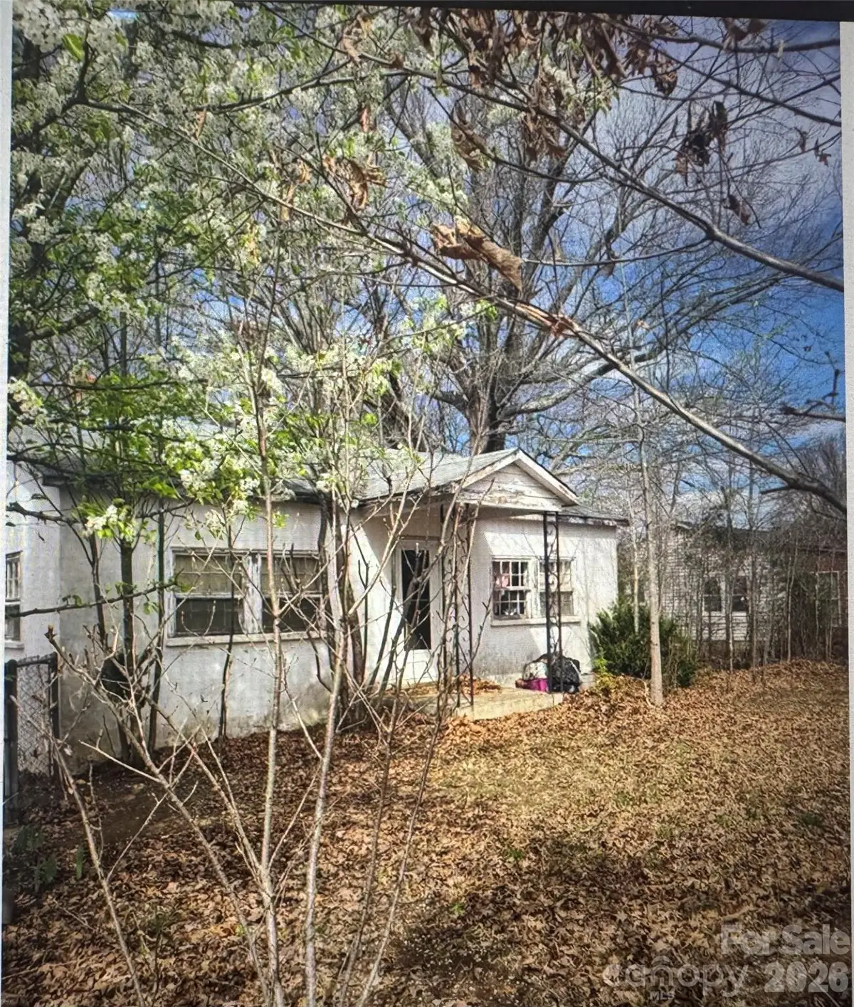 3246 Texs Fish Camp Road, Connelly Springs, NC 28612 - #1