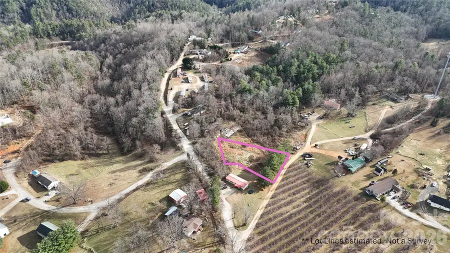 0 Benson Hollow Road, Flat Rock, NC 28731 - #3