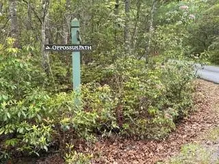 FR16 Opossum Path #FR 16, Brevard, NC 28712 - #1