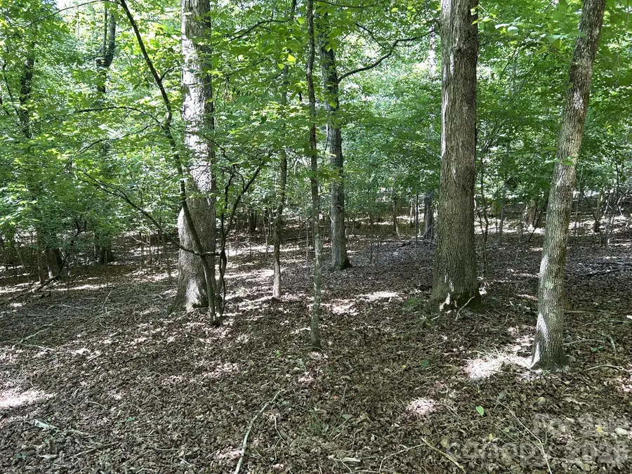 00 River Crest Parkway #26, Rutherfordton, NC 28139 - #3