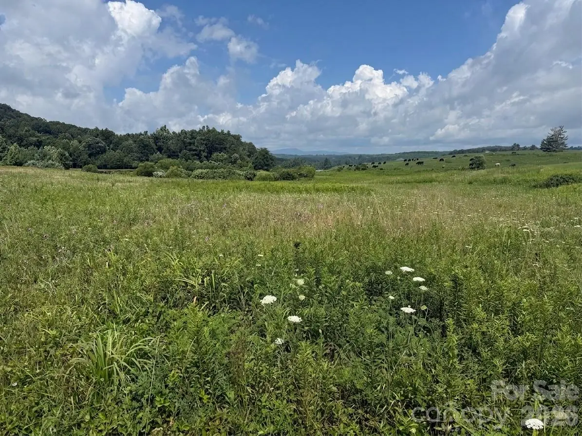 TBD Blue Ridge Estates, Ennice, NC 28623 - #1
