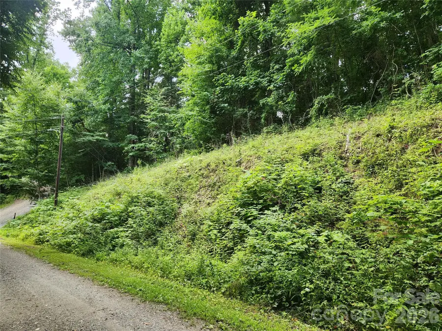 000 Jacks Knob Road, Weaverville, NC 28787 - #2