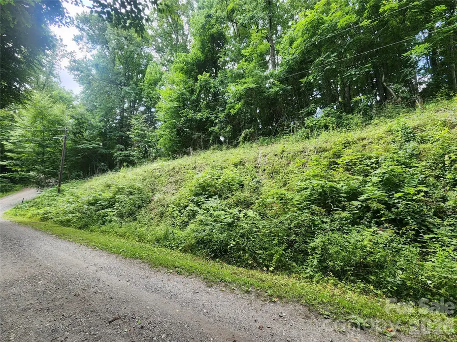 000 Jacks Knob Road, Weaverville, NC 28787 - #3