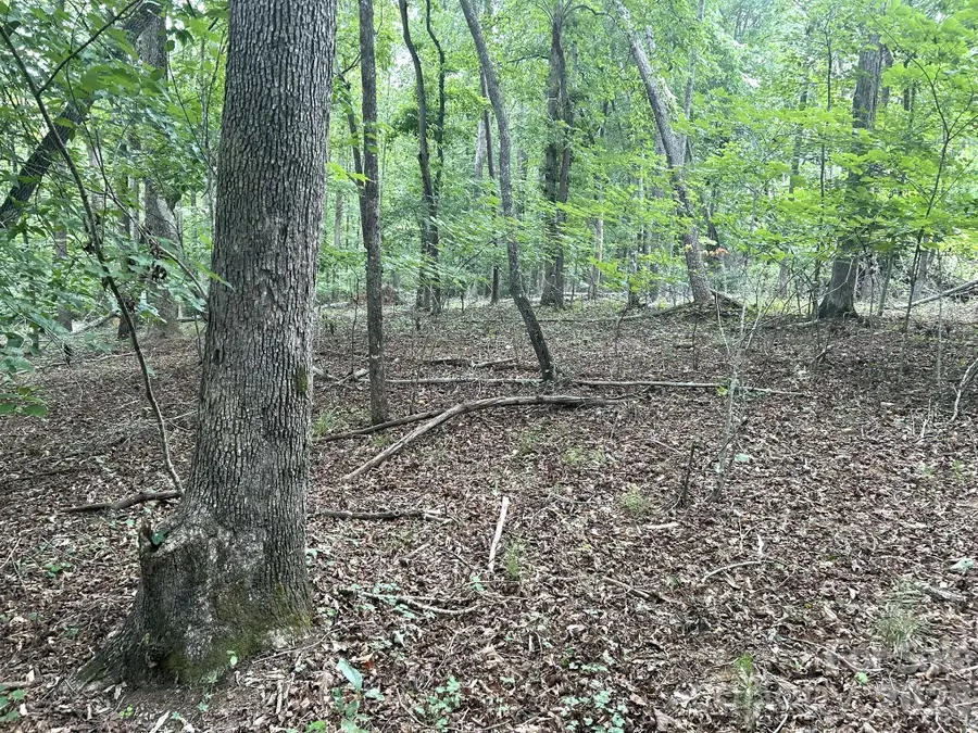 00 Bitteroot Circle #302, Rutherfordton, NC 28139 - #2
