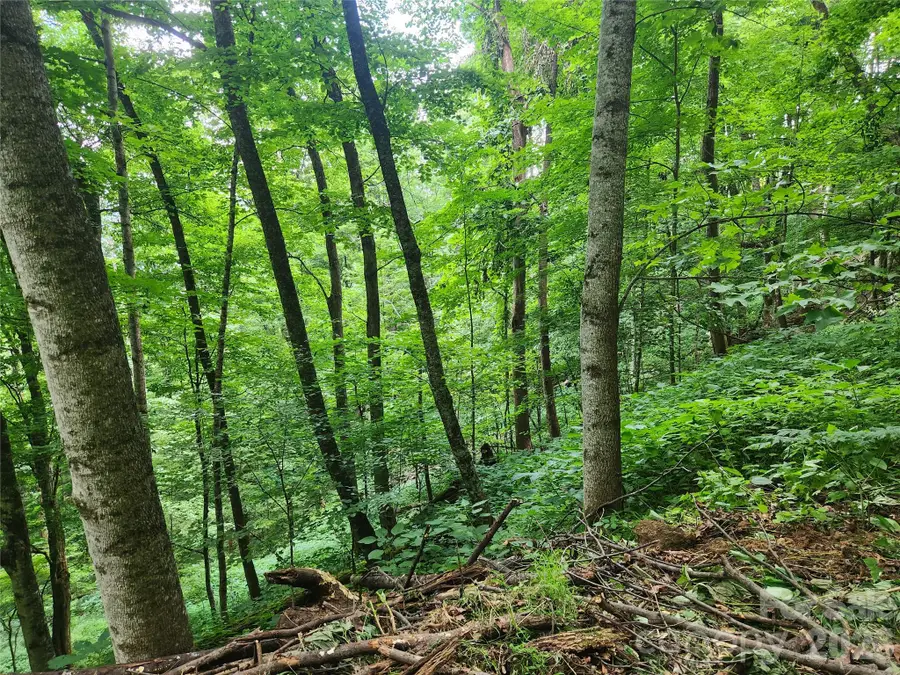 0000 Jacks Knob Road, Weaverville, NC 28787 - #3
