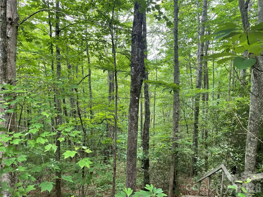 Lt 279 Cabin Flats Road #279, Balsam, NC 28707 - #2