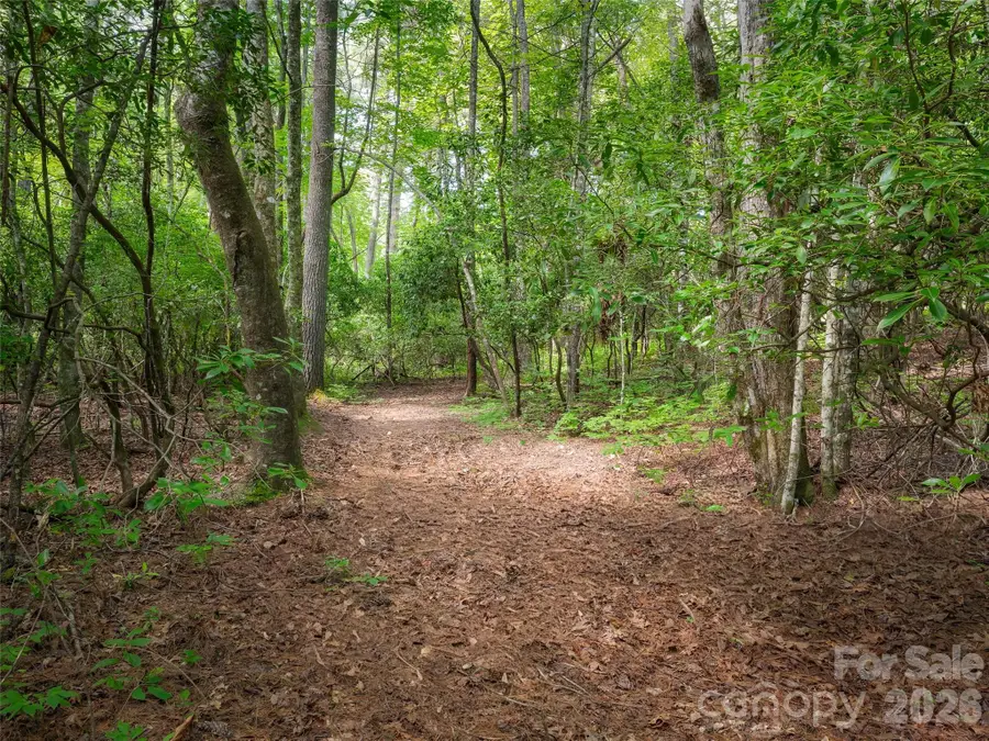 Lot 161 Eagle Lake Drive, Brevard, NC 28712 - #2