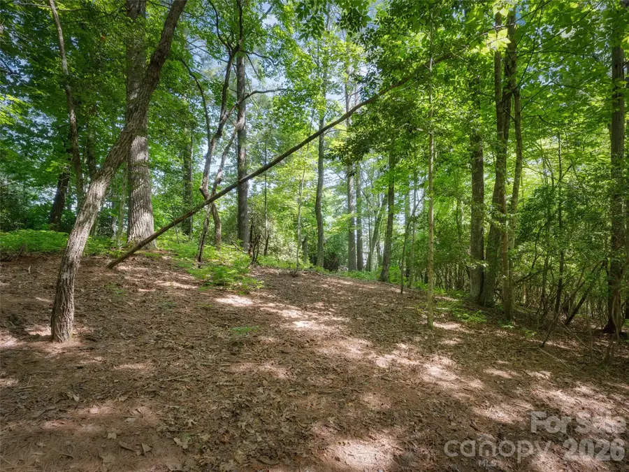 Lot 161 Eagle Lake Drive, Brevard, NC 28712 - #3