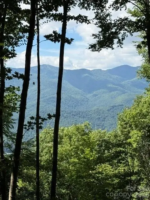 140 Boar Ridge Road, Sylva, NC 28779