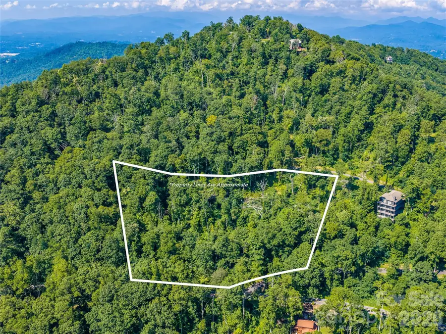 36 Cary Lane, Asheville, NC 28804 - #2