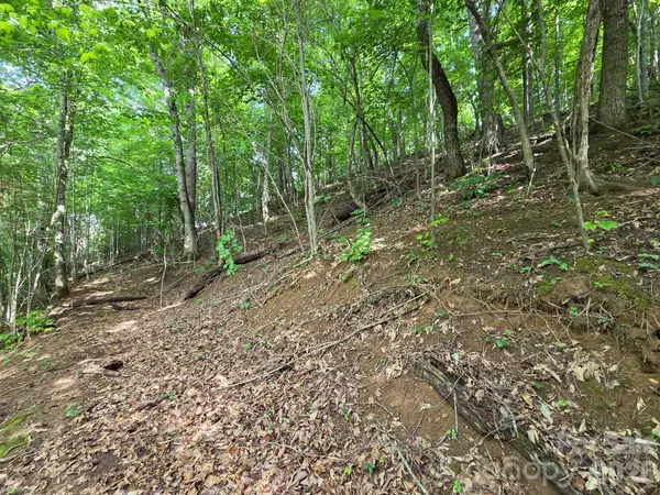 TBD Grandview Cliff Heights, Waynesville, NC 28751